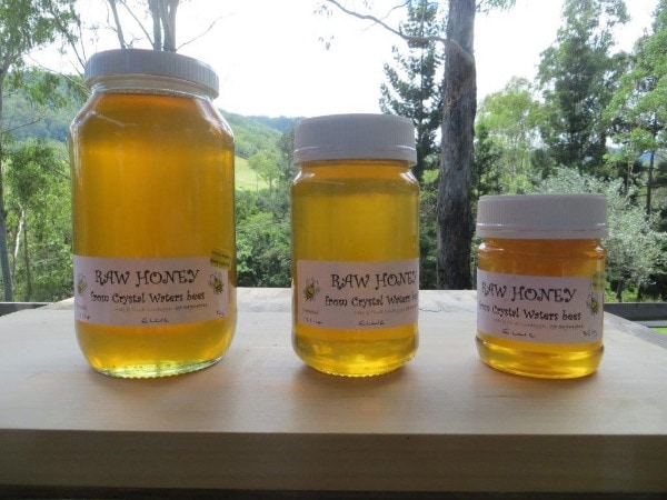 Honey | Permaculture | Max and Trudi Lindegger
